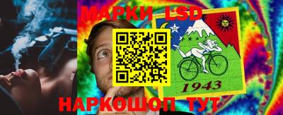 стафф Заволжье